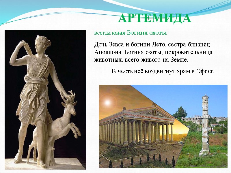 АРТЕМИДА всегда юная Богиня охоты Дочь Зевса и богини Лето, сестра-близнец Аполлона. Богиня охоты,